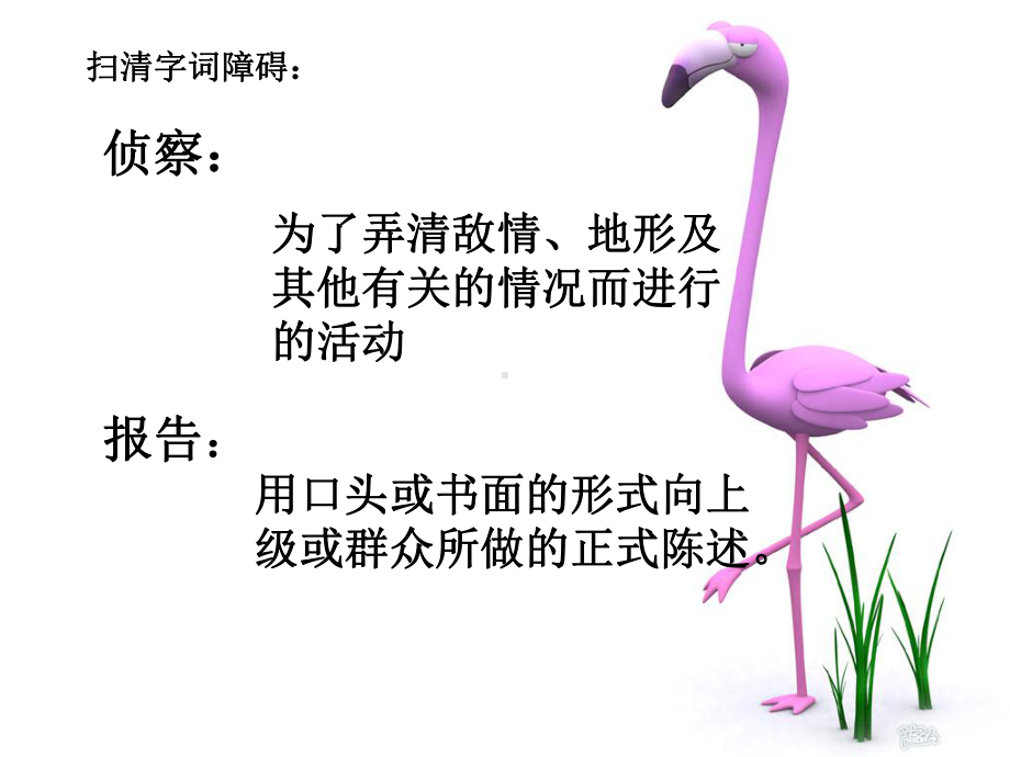 鸟儿的侦察报告课件.ppt_第3页