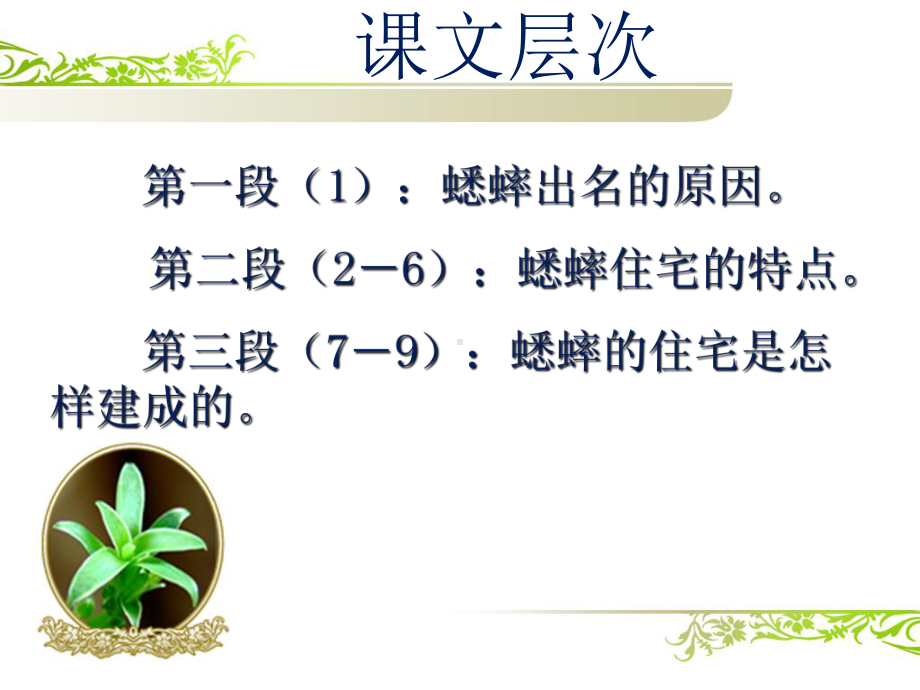 蟋蟀的住宅(1).ppt_第3页