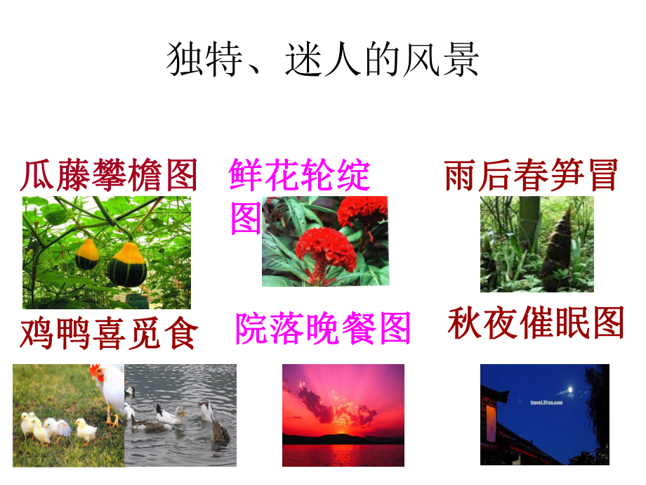 课件乡下人家3.ppt_第3页