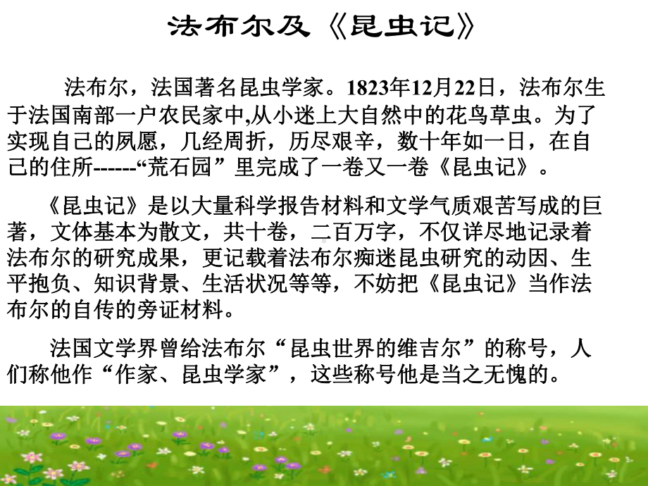 绿色蝈蝈 (2).ppt_第3页