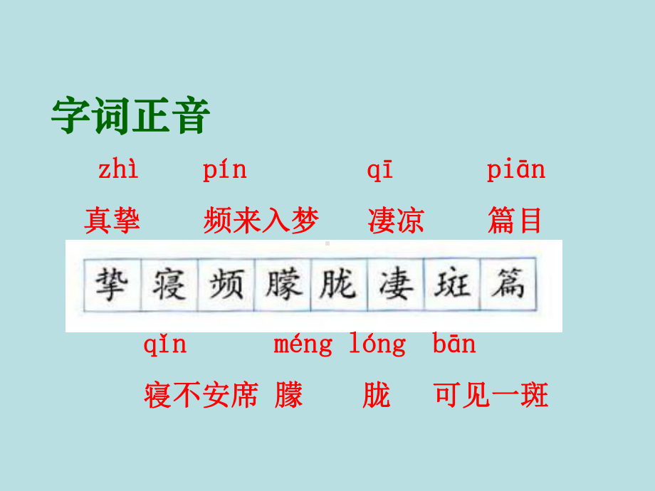 六年级语文怀念母亲.ppt_第3页