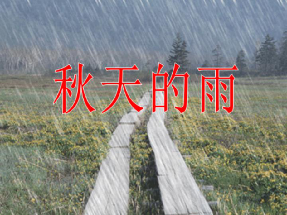 秋天的雨好课件.ppt_第1页