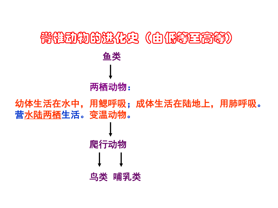 两栖动物的生殖和发育 (3).ppt_第3页