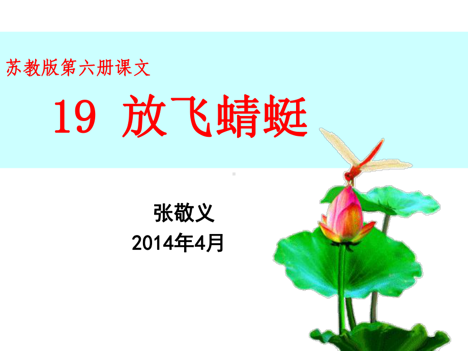 三下19放飞蜻蜓.ppt_第1页