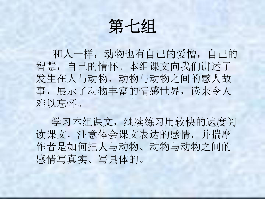 老人与海鸥 (7).ppt_第1页