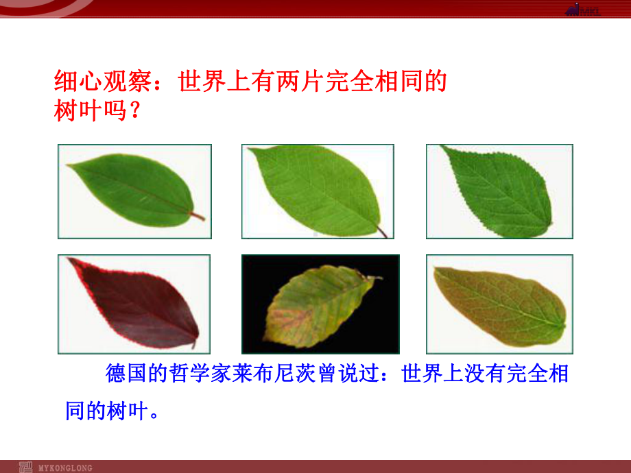 政治：232人的生命的独特性.ppt_第2页