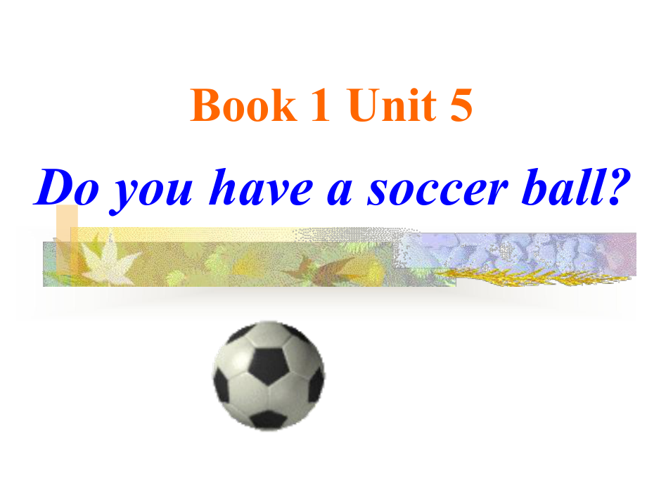 新目标七年级上unit5-Do-you-have-a-soccer-ball？.ppt_第1页