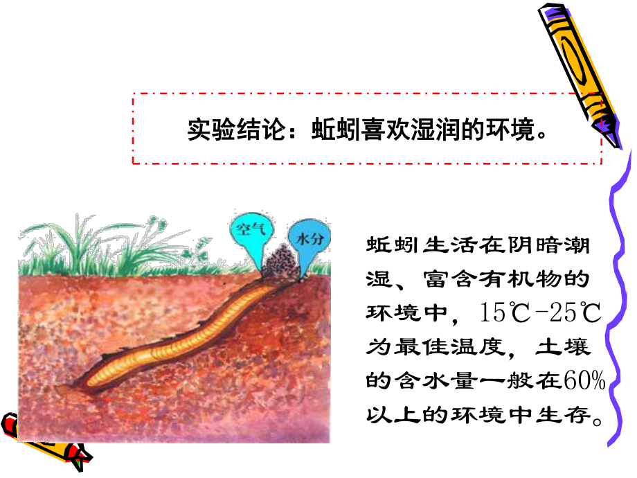 蚯蚓的选择-1.ppt_第2页