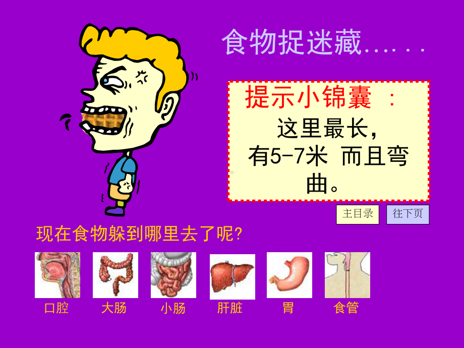 食物消化课件[1] (2).ppt_第3页