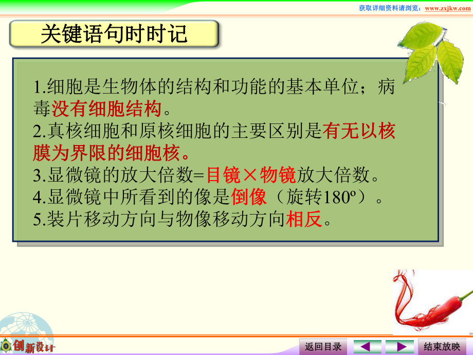 课件多种多样的细胞.ppt_第1页