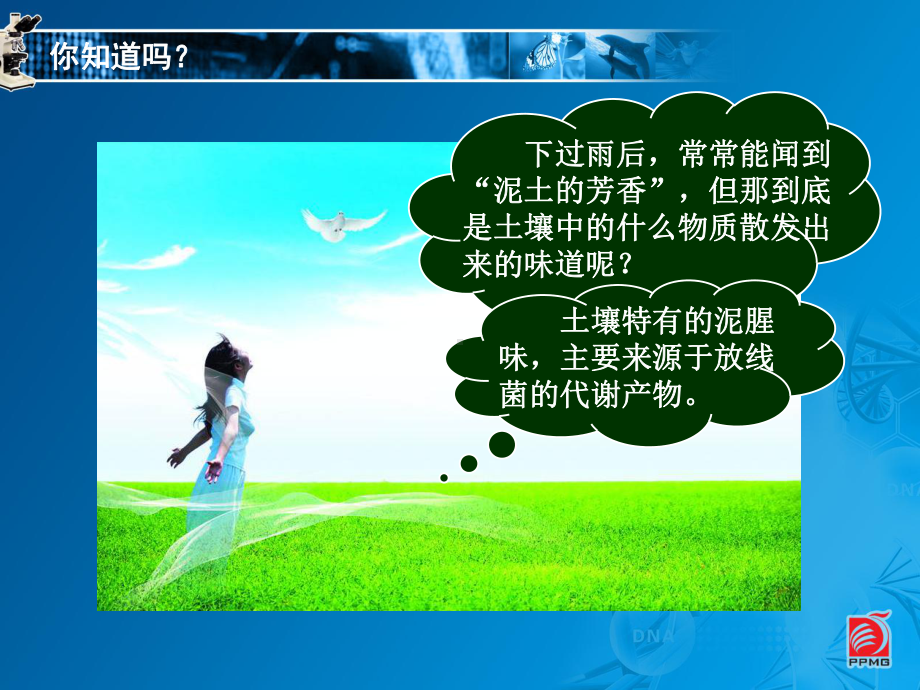 认识细菌和放线菌-教学课件.ppt_第2页