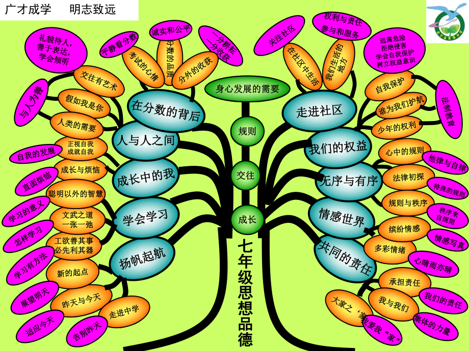 七年级思品知识树.ppt_第1页