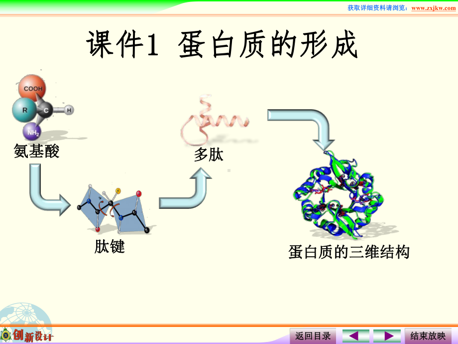 课件3蛋白质的形成.ppt_第2页