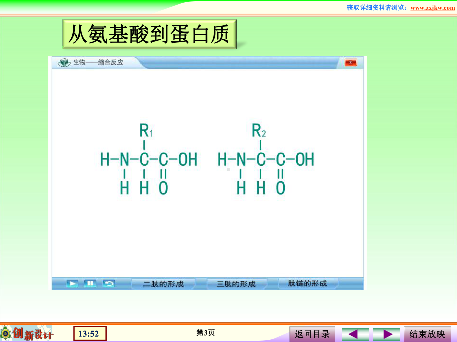 课件3蛋白质的形成.ppt_第3页