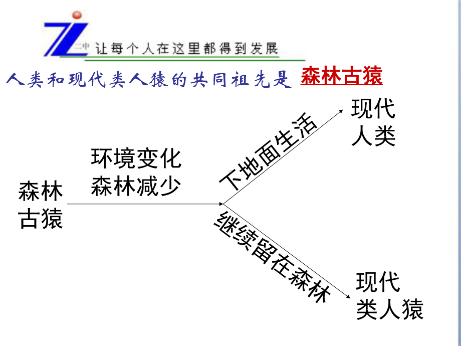 七年级上册第四单元复习.ppt_第2页