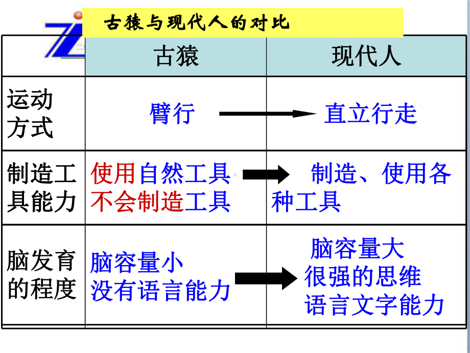 七年级上册第四单元复习.ppt_第3页