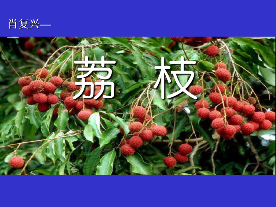 六年级语文上册《荔枝》-(2).ppt_第1页