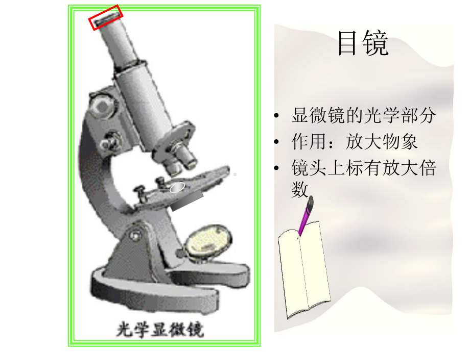 练习使用显微镜 (4).ppt_第2页