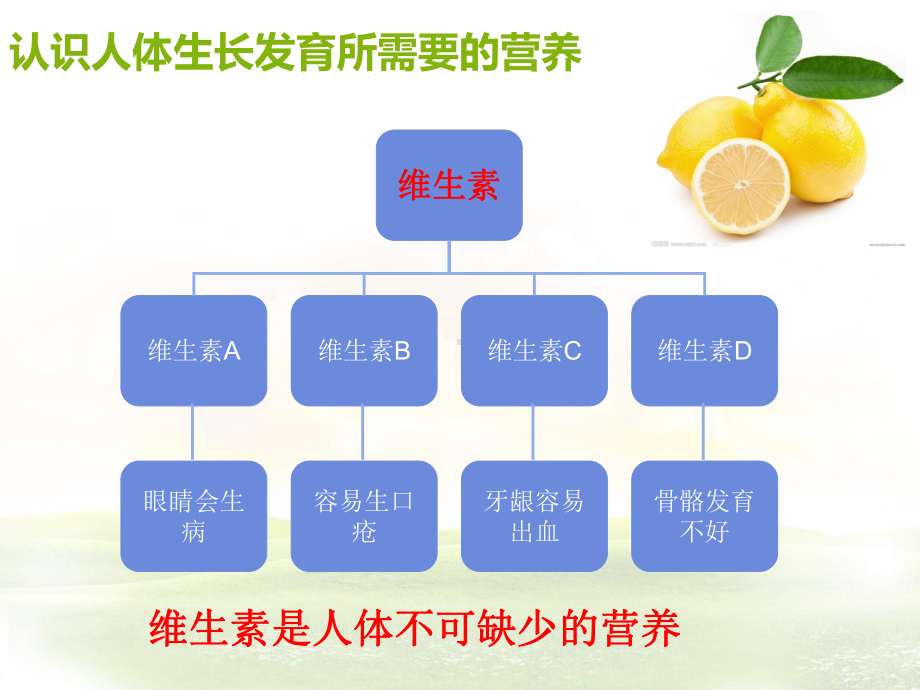 水平三体育活动与营养.ppt_第3页