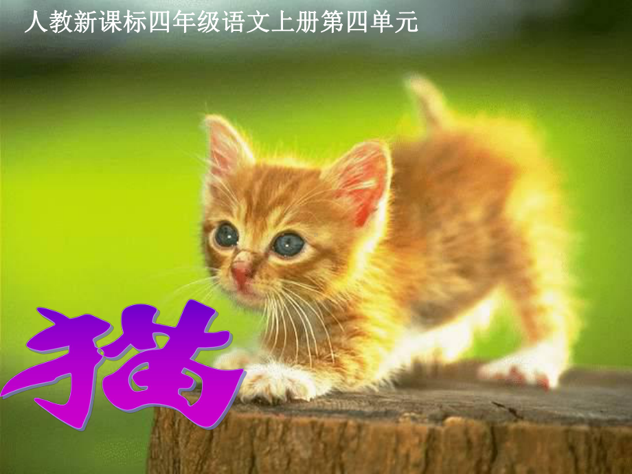 人教版四年级上册《猫》.ppt_第2页