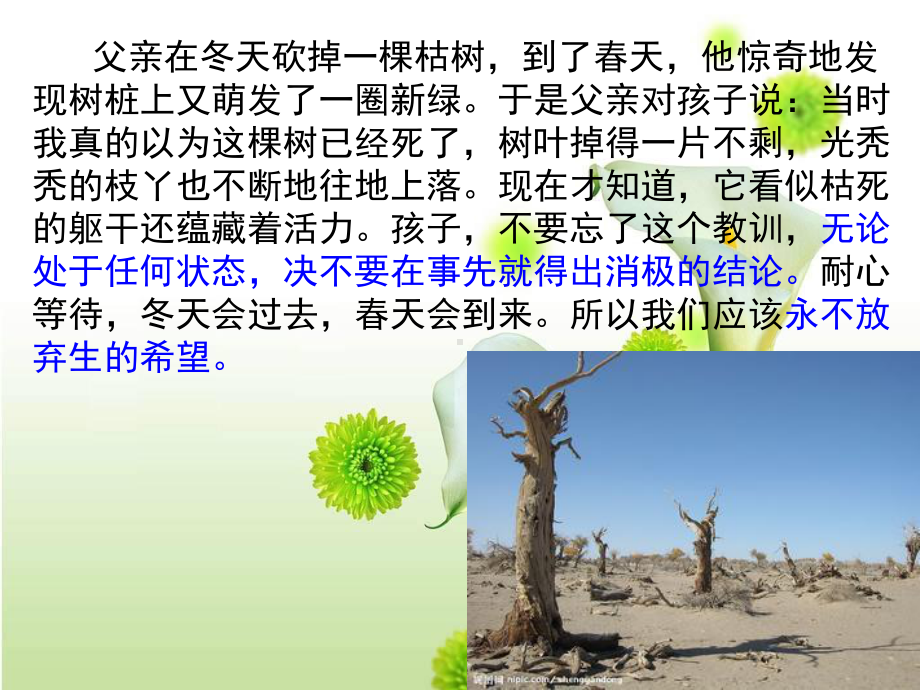 让生命之花绽放.ppt_第2页