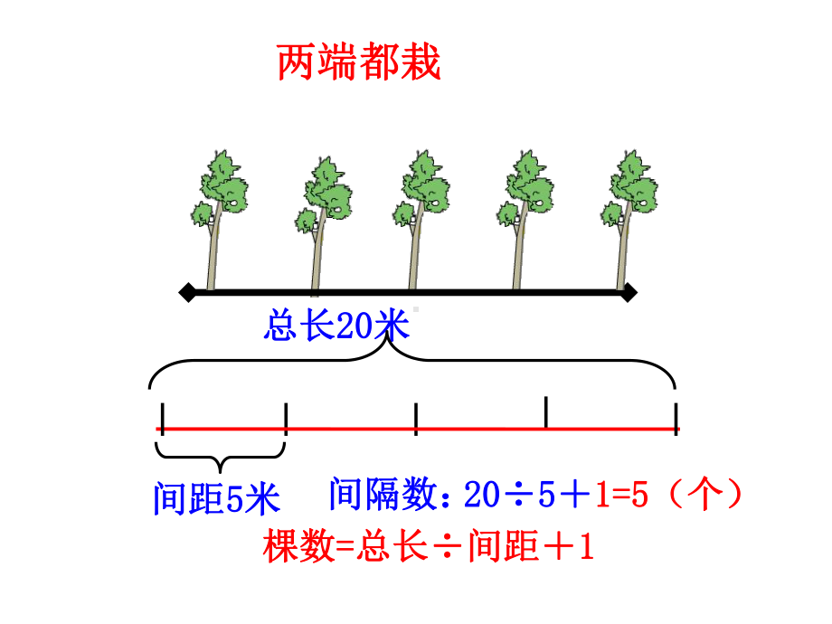 课题植树问题.ppt_第3页