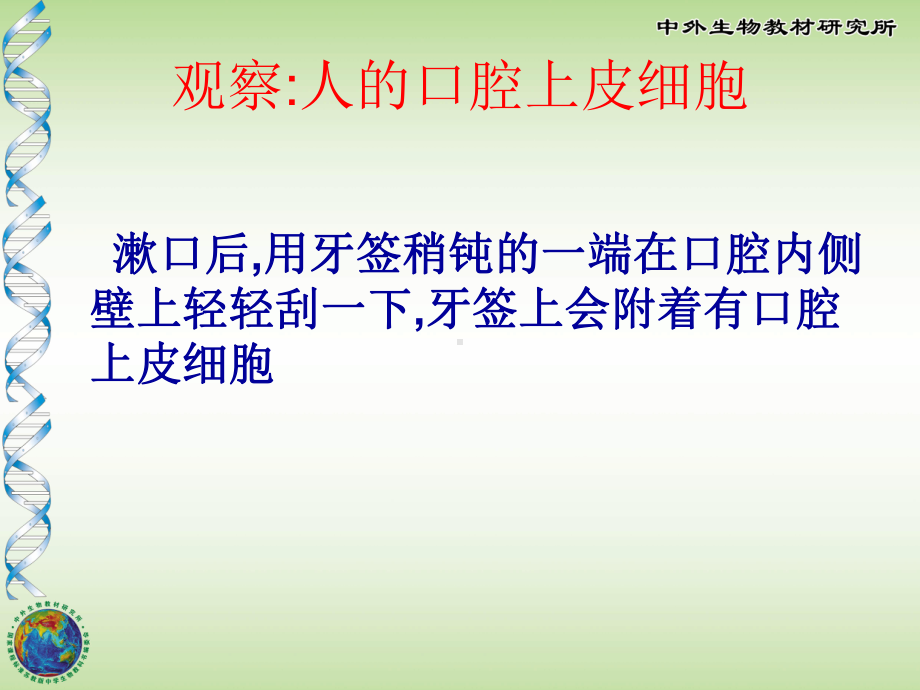 人和动物细胞的结构与功能.ppt_第2页