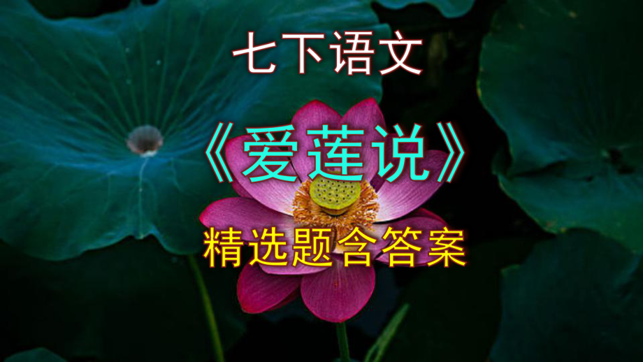 七下语文《爱莲说》精选题(含答案).pptx_第1页