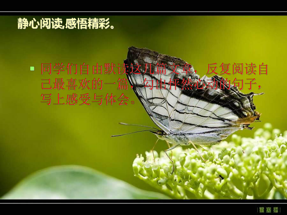 群文阅读.ppt_第3页