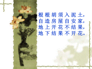 落花生pp刘玉洁.ppt