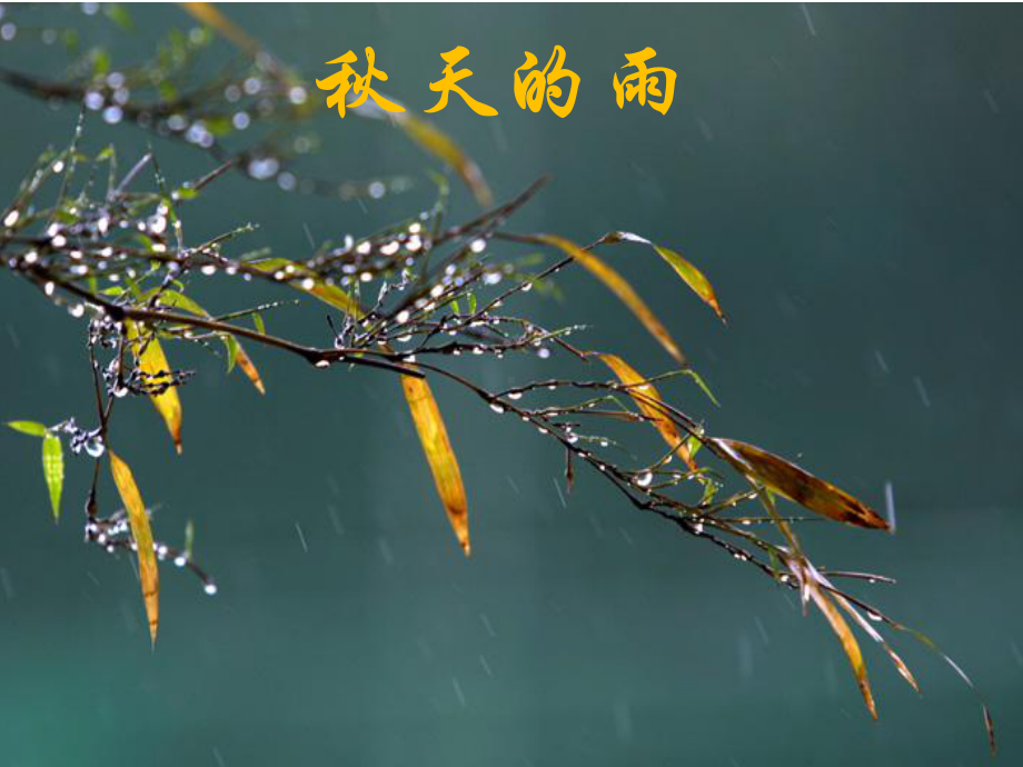 秋天的雨 (9).ppt_第1页