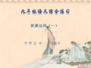 九年级语文综合练习.ppt