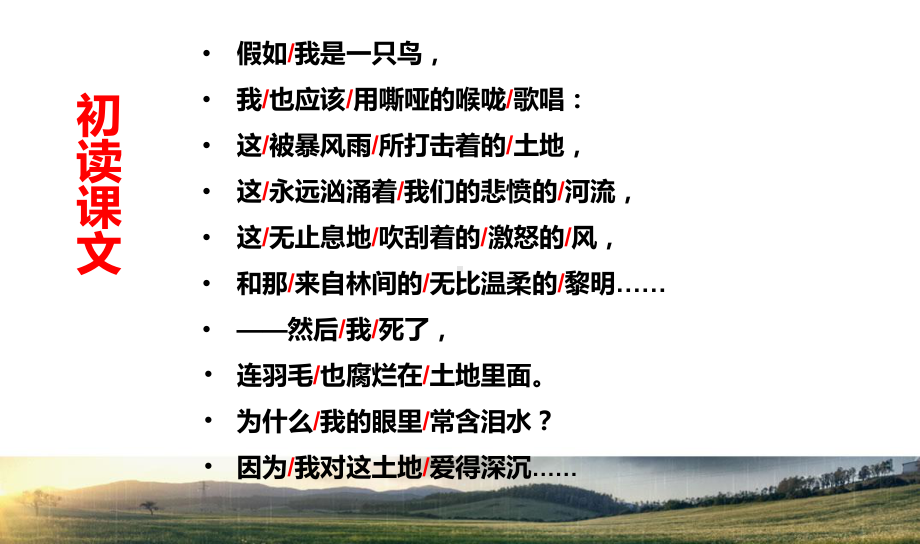 我爱这土地(课件).ppt_第3页