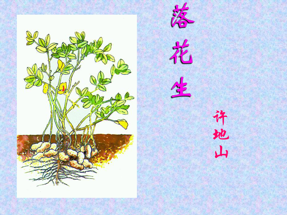 落花生-教学课件-PPT.ppt_第1页