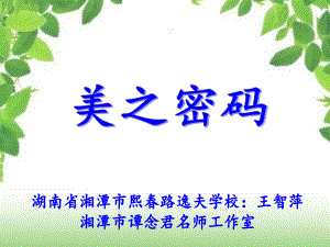 美之密码(3)(1).ppt