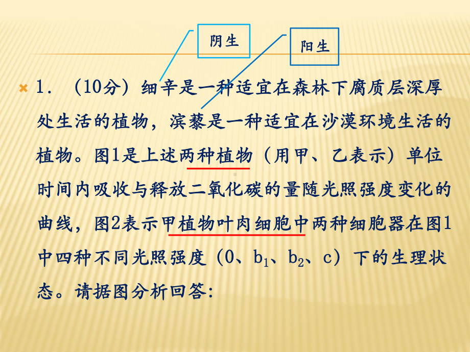 细胞代谢题解题策略研究.pptx_第3页