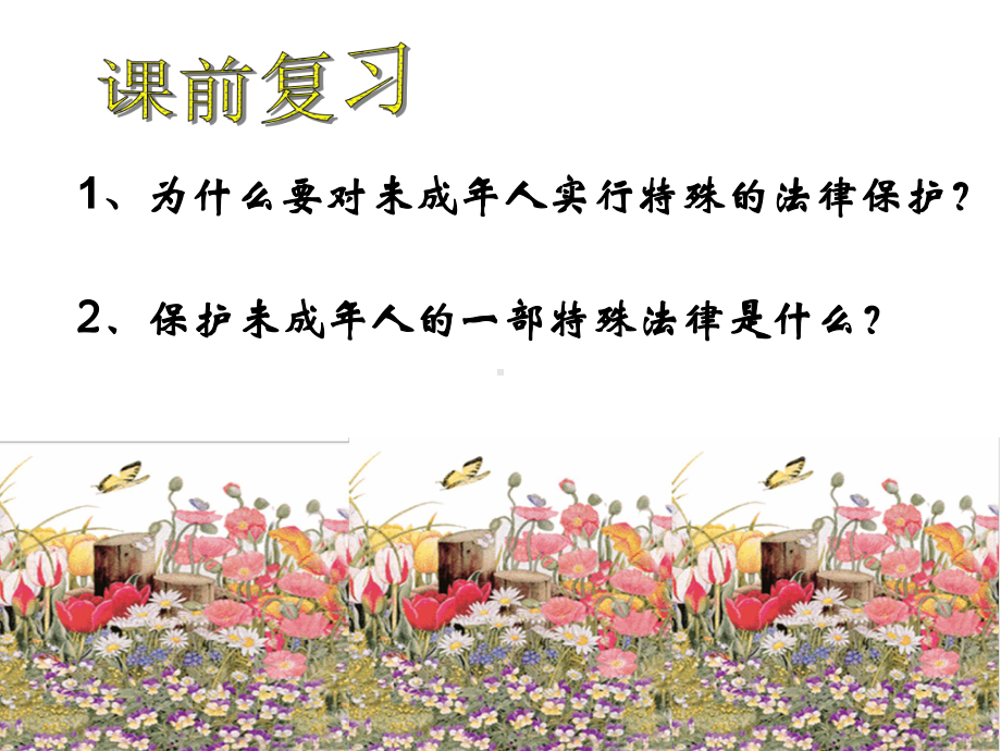 黎子慧《谁为我们护航》.ppt_第2页