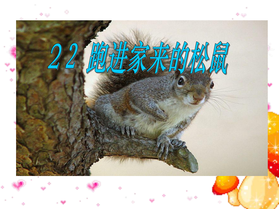 跑进家来的松鼠 (2).ppt_第1页