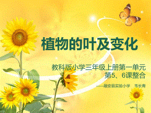 植物的叶及变化.ppt