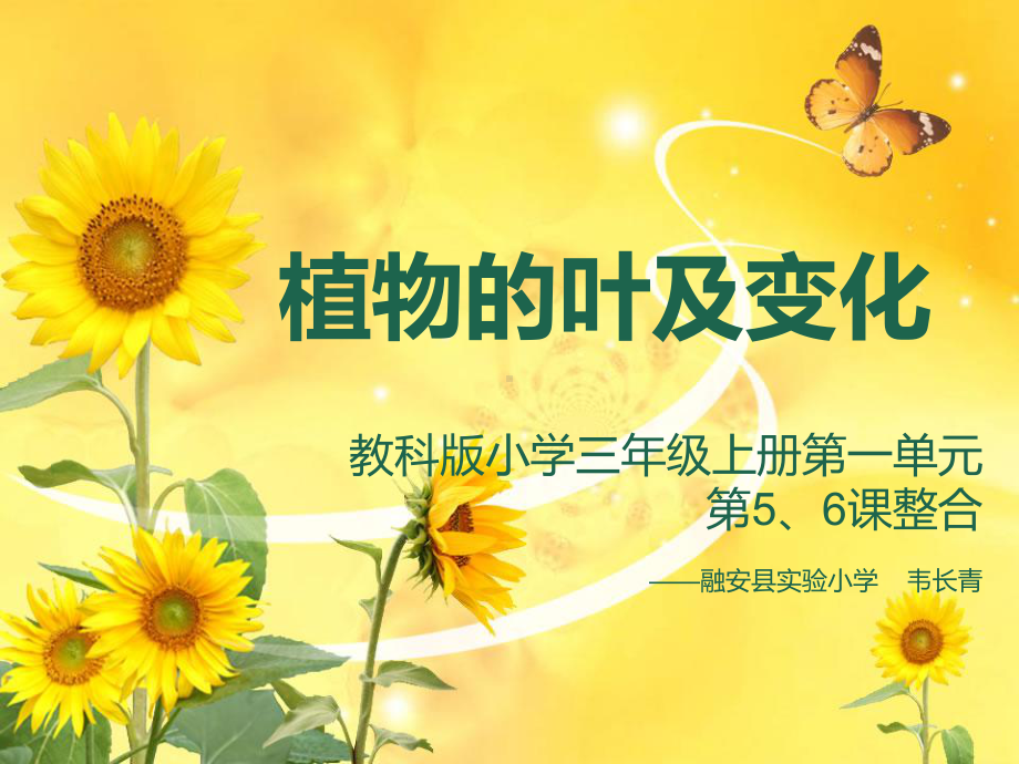 植物的叶及变化.ppt_第1页