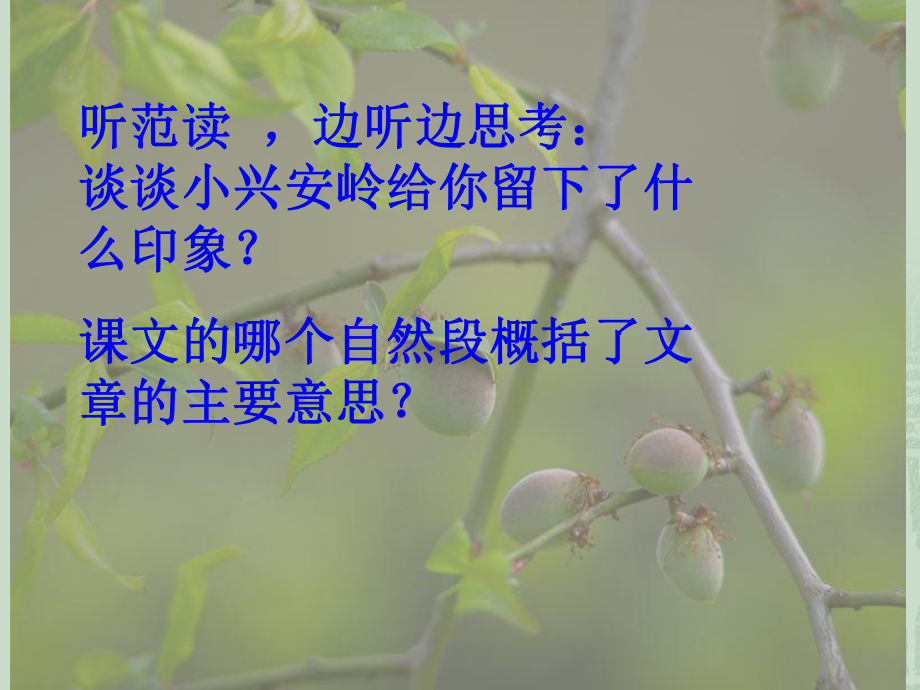 美丽的小兴安岭PPT (4).ppt_第2页