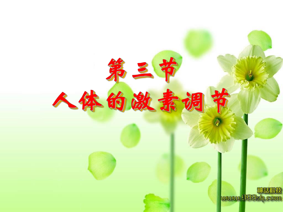 人体的激素调节.ppt_第1页