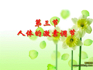 人体的激素调节.ppt