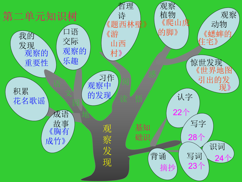 四年级语文知识树.ppt_第3页