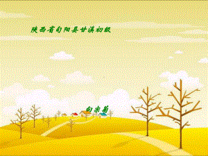 意笔花鸟画课件.ppt