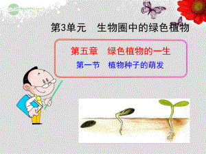 七年级生物上册第五章第一节植物种子的萌发课件苏教版.ppt