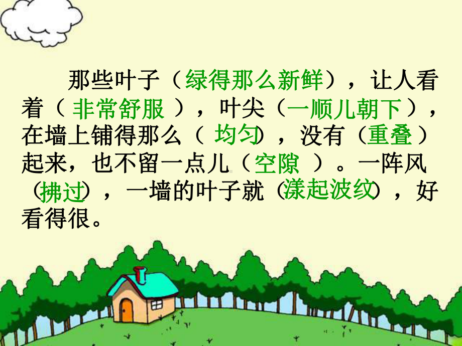 爬山虎的脚课件1.ppt_第2页