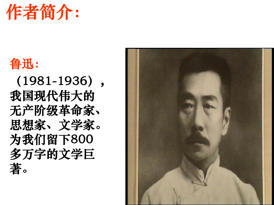 鲁迅《故乡》课件.ppt_第2页