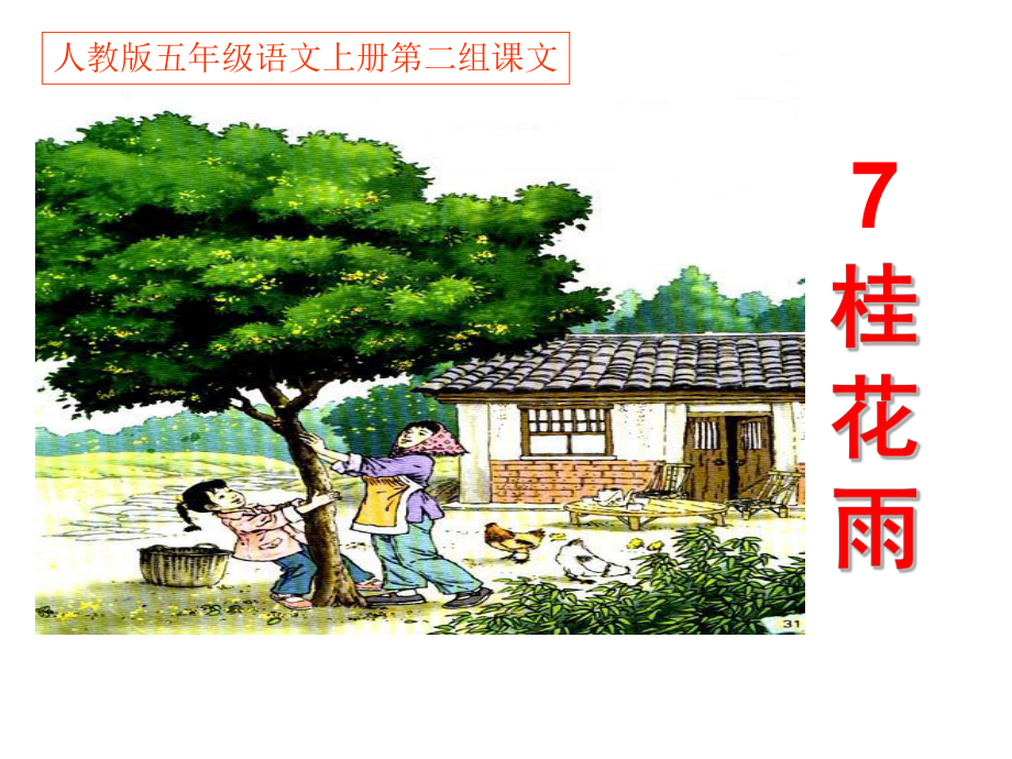 人教版五年级语文上册《桂花雨》课件 (2).ppt_第1页