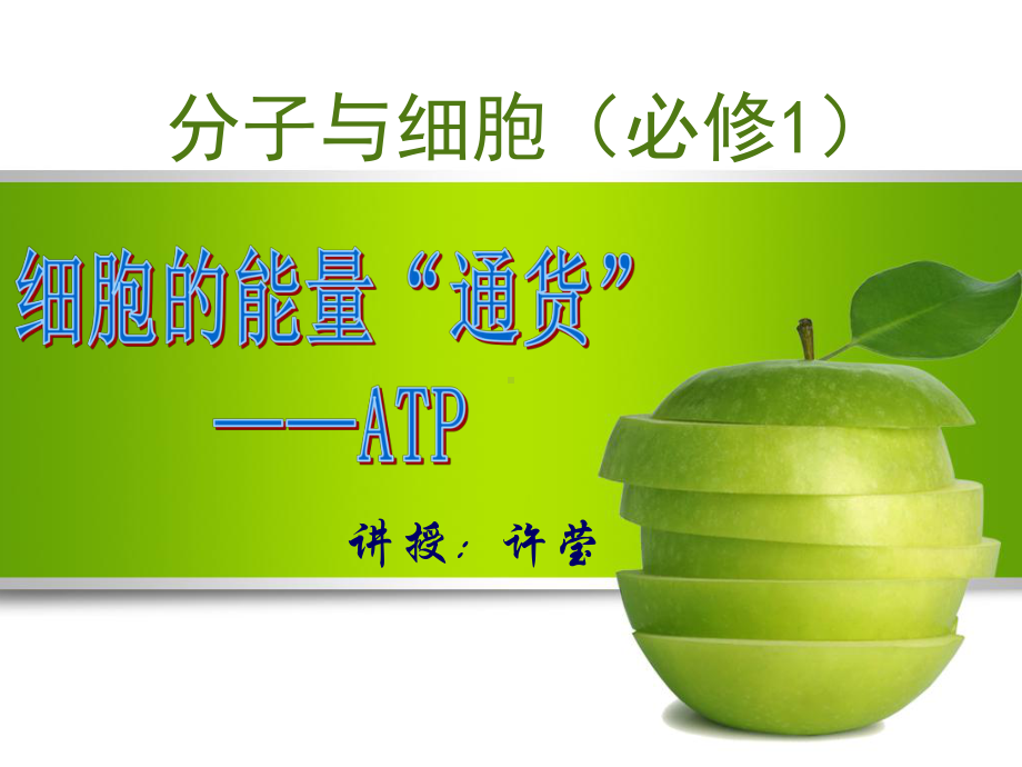 细胞中的能量通货-ATP.ppt_第3页